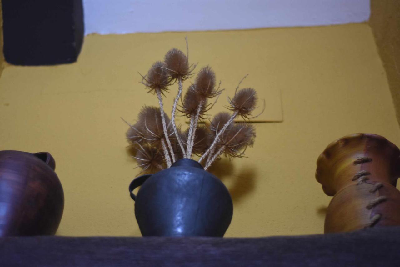 Casa Rural De Estilo Rustico Con Spa Almagro Dış mekan fotoğraf