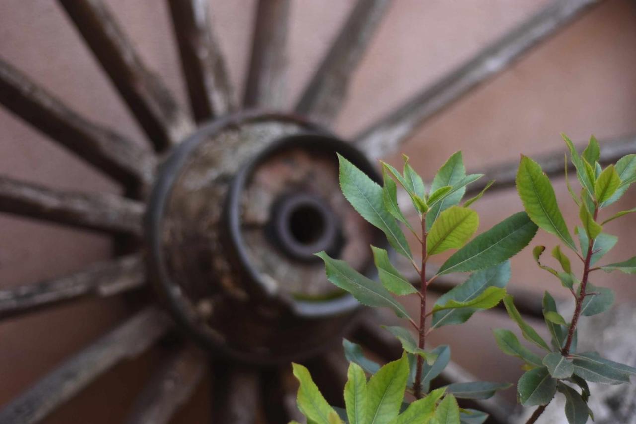 Casa Rural De Estilo Rustico Con Spa Almagro Dış mekan fotoğraf